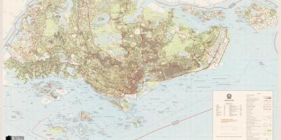 کا نقشہ سنگاپور topographic
